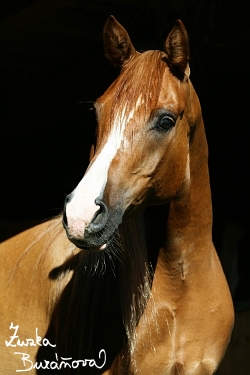 foto02.jpg