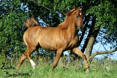 foto20.jpg
