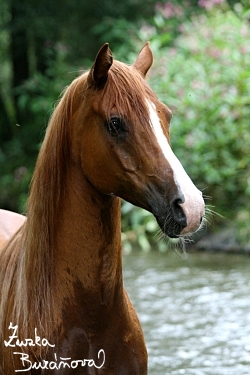 foto32.jpg