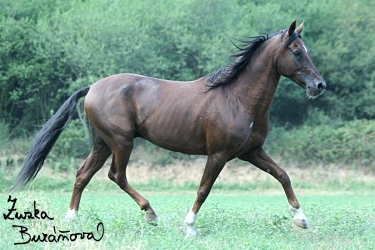 foto17.jpg