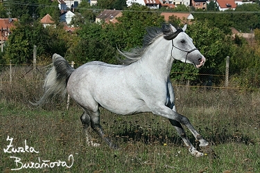 foto01.jpg