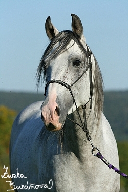 foto12.jpg